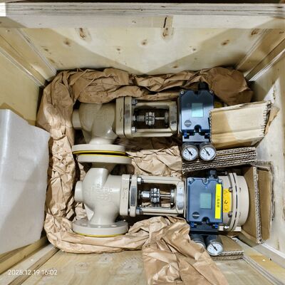 Brand New Original Germany Samson 3241 Control Valve 3725 Valve Positioner 3277 Pneumatic Actuator 