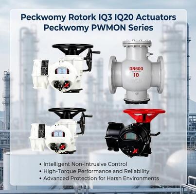Peckwomy PWMON Series Explosion-proof OEM Ball Electric Actuators  Display Gas Media Replaceable Rotork IQ3 IQ20 Actuators