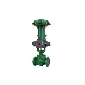 Fisher ET EZ EWT Pneumatic Control Valve with DVC6200 DVC2000 Digital  valve controller and 67CFR 67DFR filter regulator