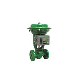Fisher GX Pneumatic Control Valve With 3620J 3620JP 3610J 3610JP Valve Positioner and 67CFR 67DFR filter regulator