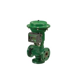 Fisher GX Pneumatic Control Valve With 3620J 3620JP 3610J 3610JP Valve Positioner and 67CFR 67DFR filter regulator