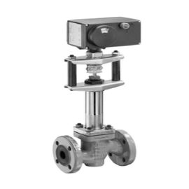 ANSI Electric Globe Valve Class 125 - 150 Pressure With SVI2-21113111 Digital Valve Positioner