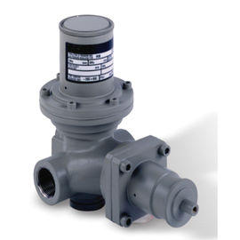 PN 16 Body Materials Gas Pressure Regulator RB1700-3/4&quot; CE Certification