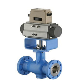 Class 150 - Class 300 Pneumatic Control Valve With SV11000 Digital Valve Positioner