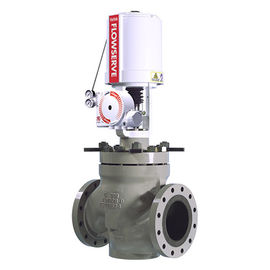 150 - 600 Pressure  Globe Control Valve With NT 3000 Positioner Long Stroke Length