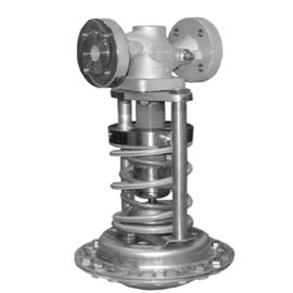 DN 15 - DN 100 Pressure Relief Valve Pressure Safety Valve DIN Version