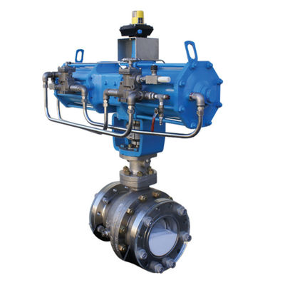 Wafer Type Flanged SS ASME B16.34 Metal Seated Ball Valves