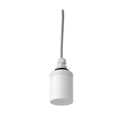 e+h instrument Ultrasonic sensor for level and flow measurement as FDU91 ultrasonic sensor