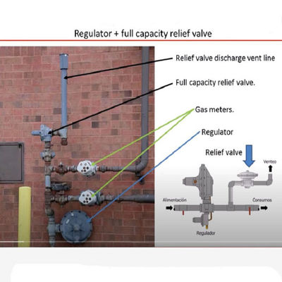 EZR Relief Valve Or Back Pressure Regulator Gas Modular Skid Fisher LNG Skid Mounted Gas Device Solution Power Tool Set