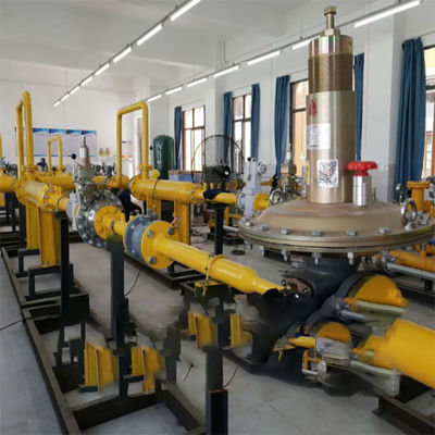 Chinese Integrated Equipment Duplex Liquid Fuel Boost Pump Skid Combined With FISH-ER DVC 6200 Controller