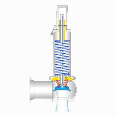 Type 488 With High Capacities Spring Loaded Clean Service Safety Valve