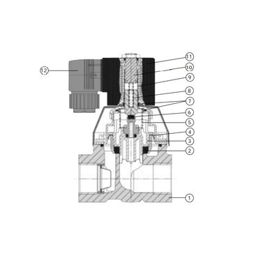 Type 6221 Piston Valve 2/2 Way Servo-Assisted As Solenoid Valve For High Pulsed And Compressed Air