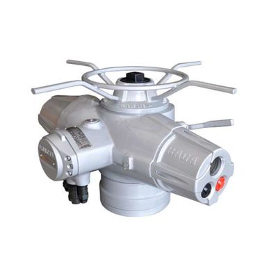 Electric Actuator China RQMⅢ Series Provide Linear Or Rotational Motion Actuator