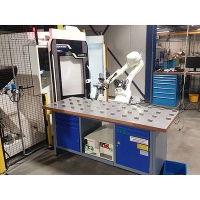 6 Axis Robot Arm Palletizer RS020N For Palletizing Handling Automation As Palletizing Robot
