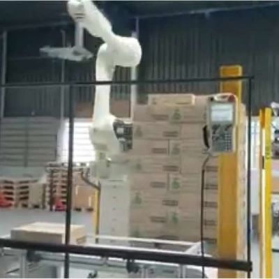 Industrial Robotic Arm 6 Axis Kawasaki RS050N With CNGBS Guide Rail For Pallet Handling Robot
