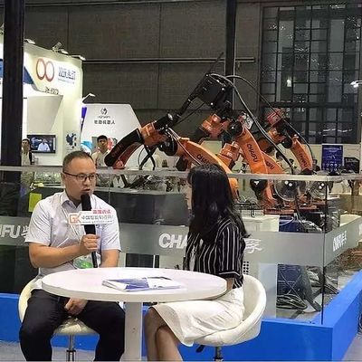 Robotic Palletizer 4 Axis SF165-K3200 Industrial Robotic Arm Palletizing Robot