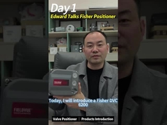 Pneumatic Control Valves