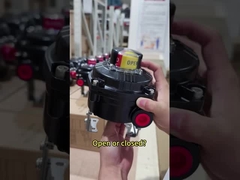 Open or closed ? Let Power Genex limit switches tell you!