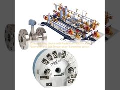 Valve switching device with Rosemount 8800 Vortex Flowmeter and 644 Temperature Transmitter sensor