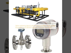 Valve switching device with Rosemount 8800 Multivariable Flowmeter and 2051HT Hygienic Pressure Transmitter