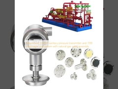 Rosemount 3051HT sanitary pressure transmitter and 1199 diaphragm seal system with natural gas valve assembly